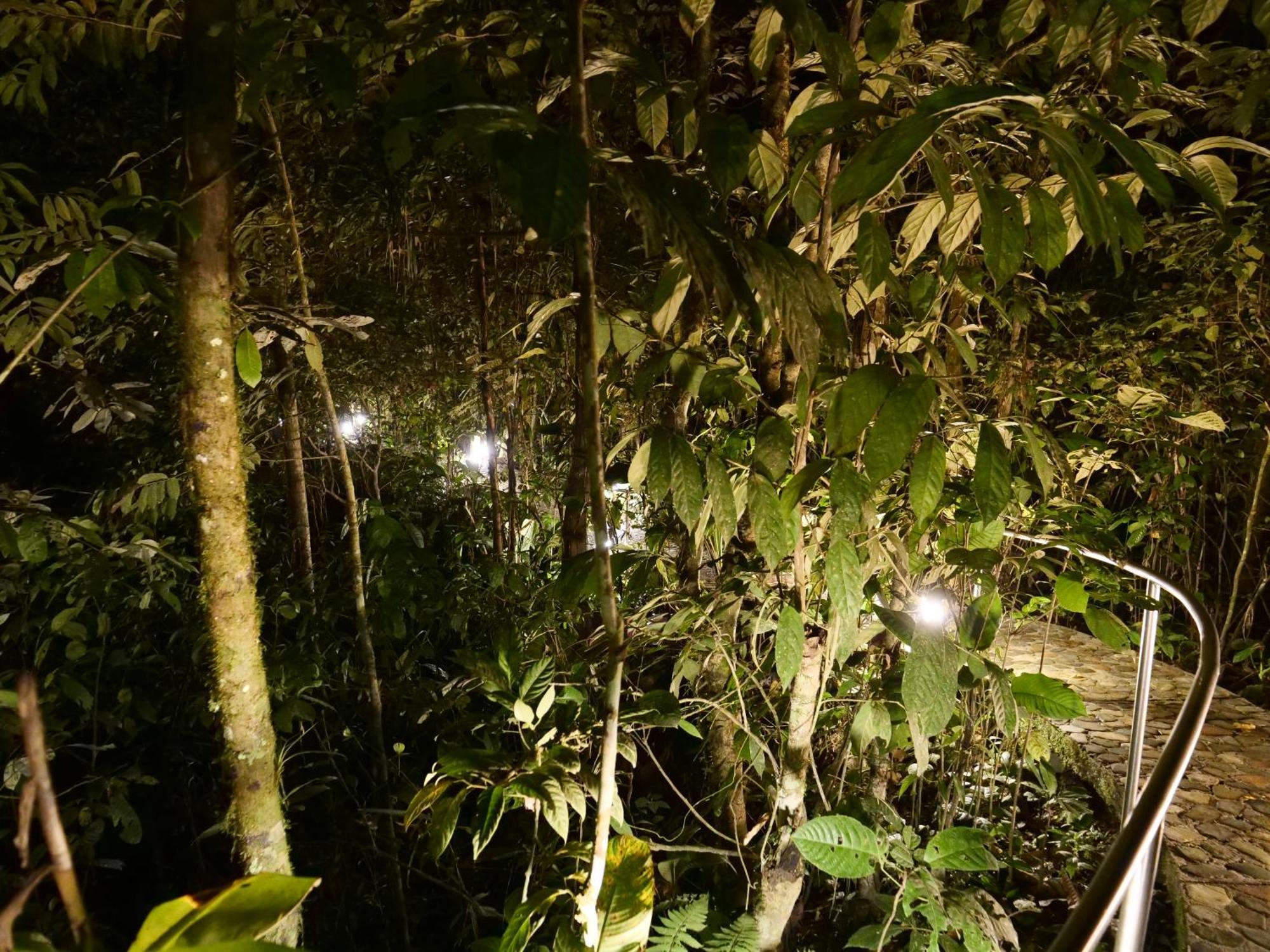 Arahuana Jungle Resort & Spa Тена Екстер'єр фото