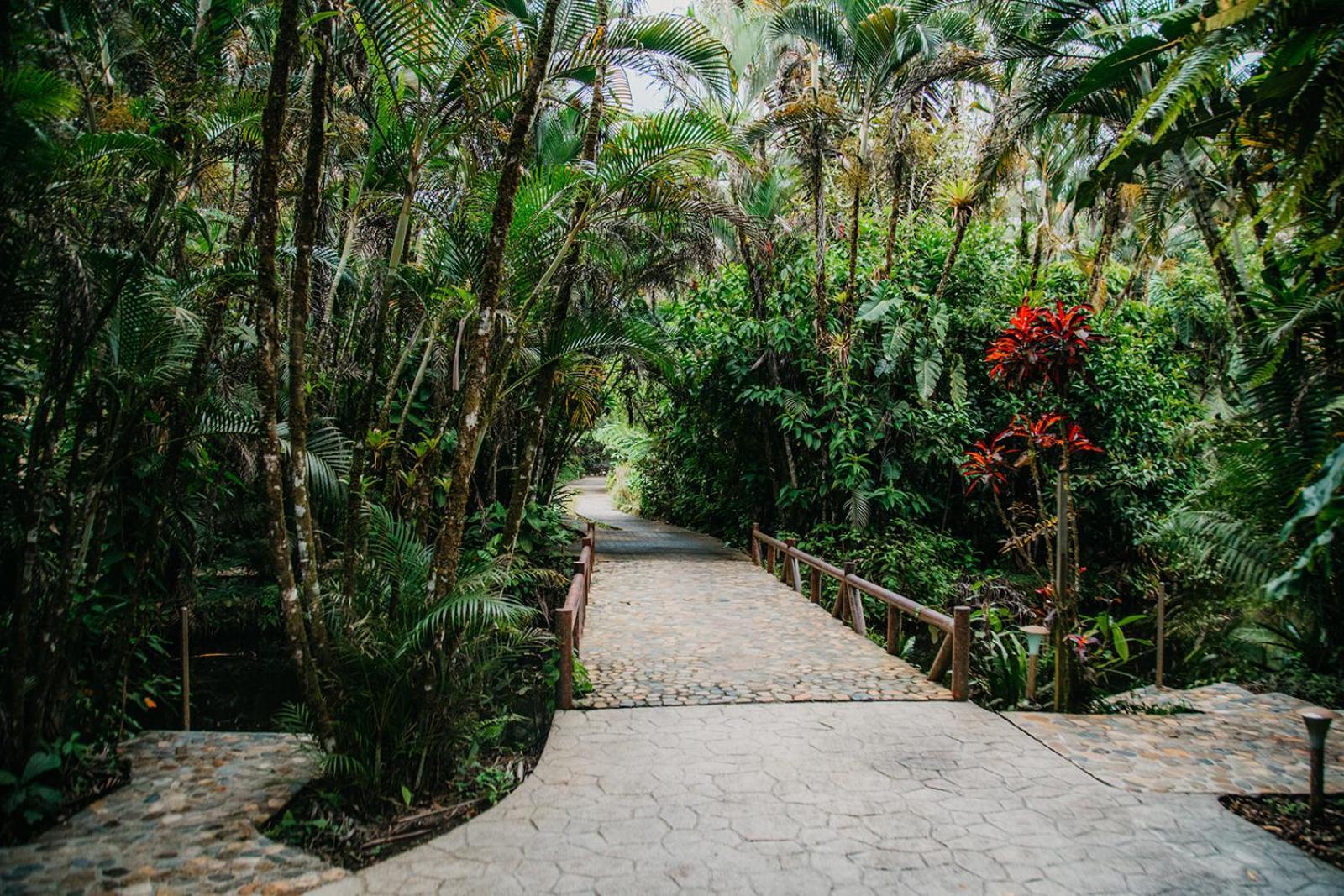 Arahuana Jungle Resort & Spa Тена Екстер'єр фото