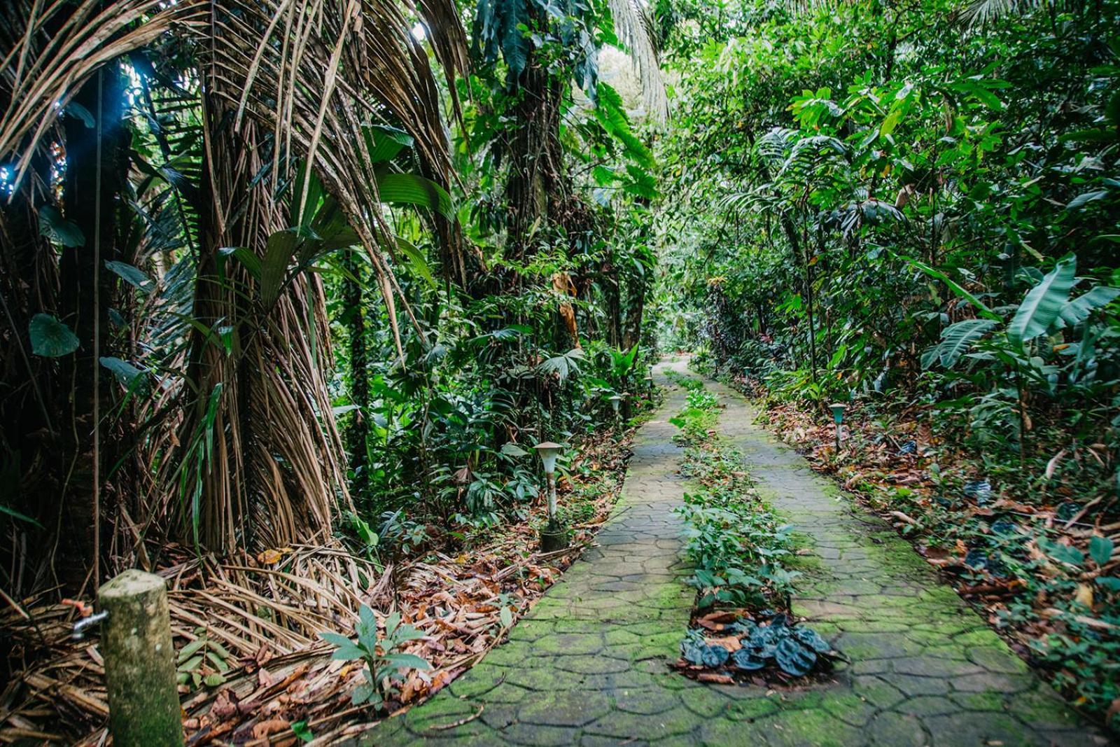 Arahuana Jungle Resort & Spa Тена Екстер'єр фото